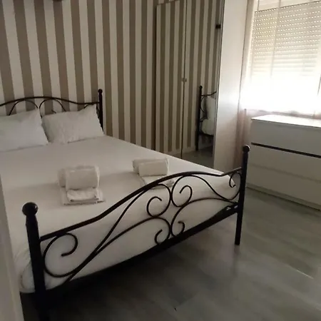 فيلة Miramar On View